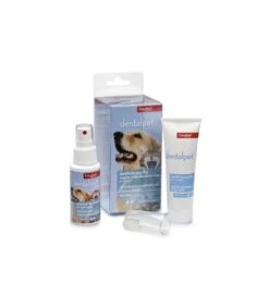 Candioli Dentalpet Kit Nuovo