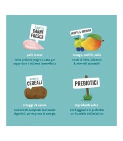 Edgard & Cooper Adult Carne Fresca Di Pollo Allevato A Terra Senza Cereali 12 Kg -Vendite Royal Pet Shop edgard cooper adult carne fresca di pollo allevato a terra senza cereali 12 kg 3