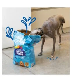 Edgard & Cooper Adult Carne Fresca Di Salmone Norvegese Senza Cereali 7 Kg -Vendite Royal Pet Shop edgard cooper adult carne fresca di salmone norvegese senza cereali 7 kg 2