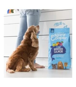 Edgard & Cooper Adult Carne Fresca Di Salmone Norvegese Senza Cereali 7 Kg -Vendite Royal Pet Shop edgard cooper adult carne fresca di salmone norvegese senza cereali 7 kg 3