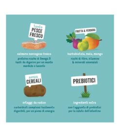 Edgard & Cooper Adult Carne Fresca Di Salmone Norvegese Senza Cereali 7 Kg -Vendite Royal Pet Shop edgard cooper adult carne fresca di salmone norvegese senza cereali 7 kg 5