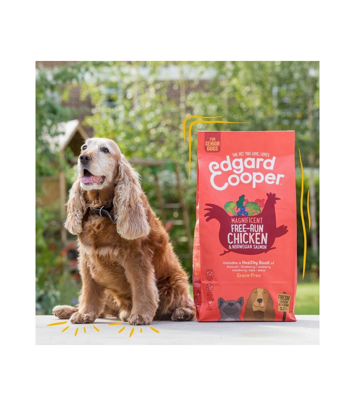Edgard & Cooper Senior Carne Fresca Di Pollo Allevato A Terra E Salmone Norvegese Senza Cereali 12 Kg 3 Edgard & Cooper Senior Carne Fresca Di Pollo Allevato A Terra E Salmone Norvegese Senza Cereali 12 Kg - immagine 3