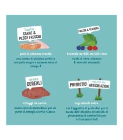 Edgard & Cooper Senior Carne Fresca Di Pollo Allevato A Terra E Salmone Norvegese Senza Cereali 12 Kg 9 Edgard & Cooper Senior Carne Fresca Di Pollo Allevato A Terra E Salmone Norvegese Senza Cereali 12 Kg -Vendite Royal Pet Shop edgard cooper senior carne fresca di pollo allevato a terra e salmone norvegese senza cereali 12 kg 4