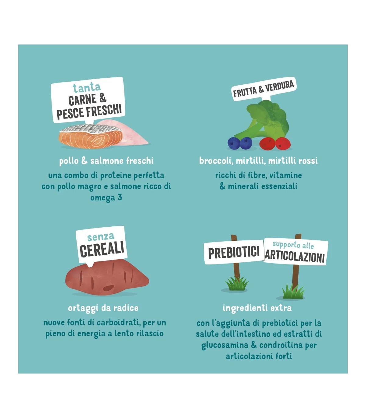 Edgard & Cooper Senior Carne Fresca Di Pollo Allevato A Terra E Salmone Norvegese Senza Cereali 12 Kg 5 Edgard & Cooper Senior Carne Fresca Di Pollo Allevato A Terra E Salmone Norvegese Senza Cereali 12 Kg - immagine 5