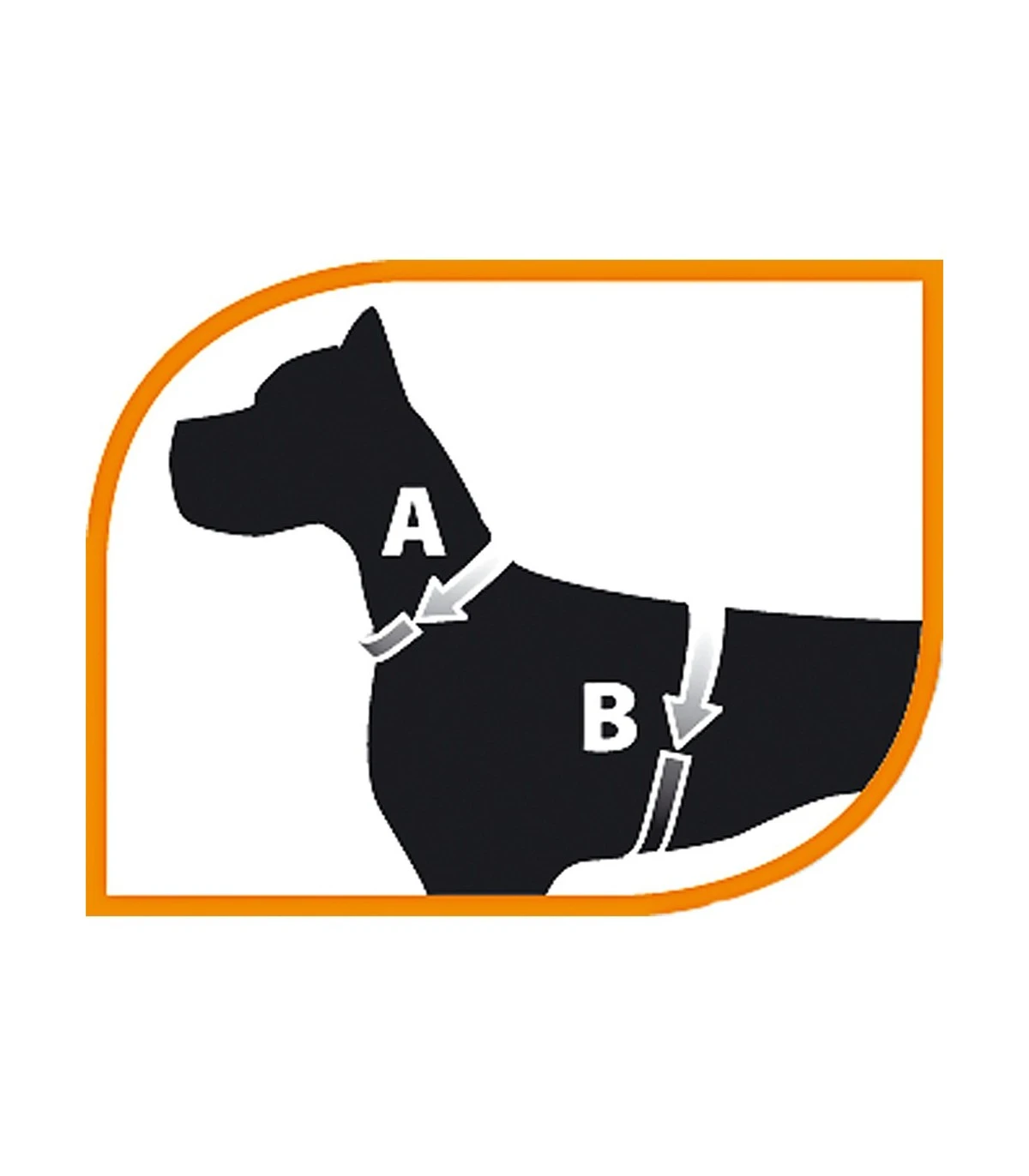 Ferplast Ergocomfort Nordic 2 Pettorina Con Maniglia 2 Ferplast Ergocomfort Nordic 2 Pettorina Con Maniglia - immagine 2