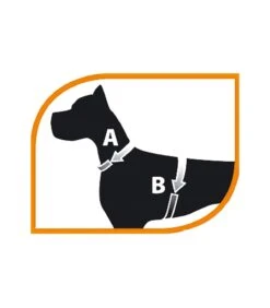 Ferplast Jogging Large Pettorina Con Guinzaglio -Vendite Royal Pet Shop ferplast jogging large pettorina con guinzaglio 2