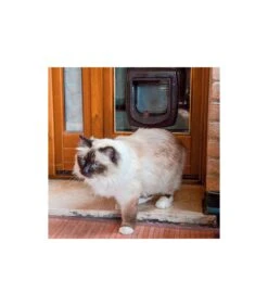 Ferplast Swing Microchip Bianco 11 Ferplast Swing Microchip Bianco -Vendite Royal Pet Shop ferplast swing microchip bianco 2