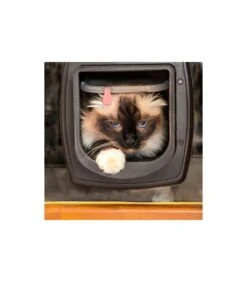 Ferplast Swing Microchip Marrone -Vendite Royal Pet Shop ferplast swing microchip marrone 3