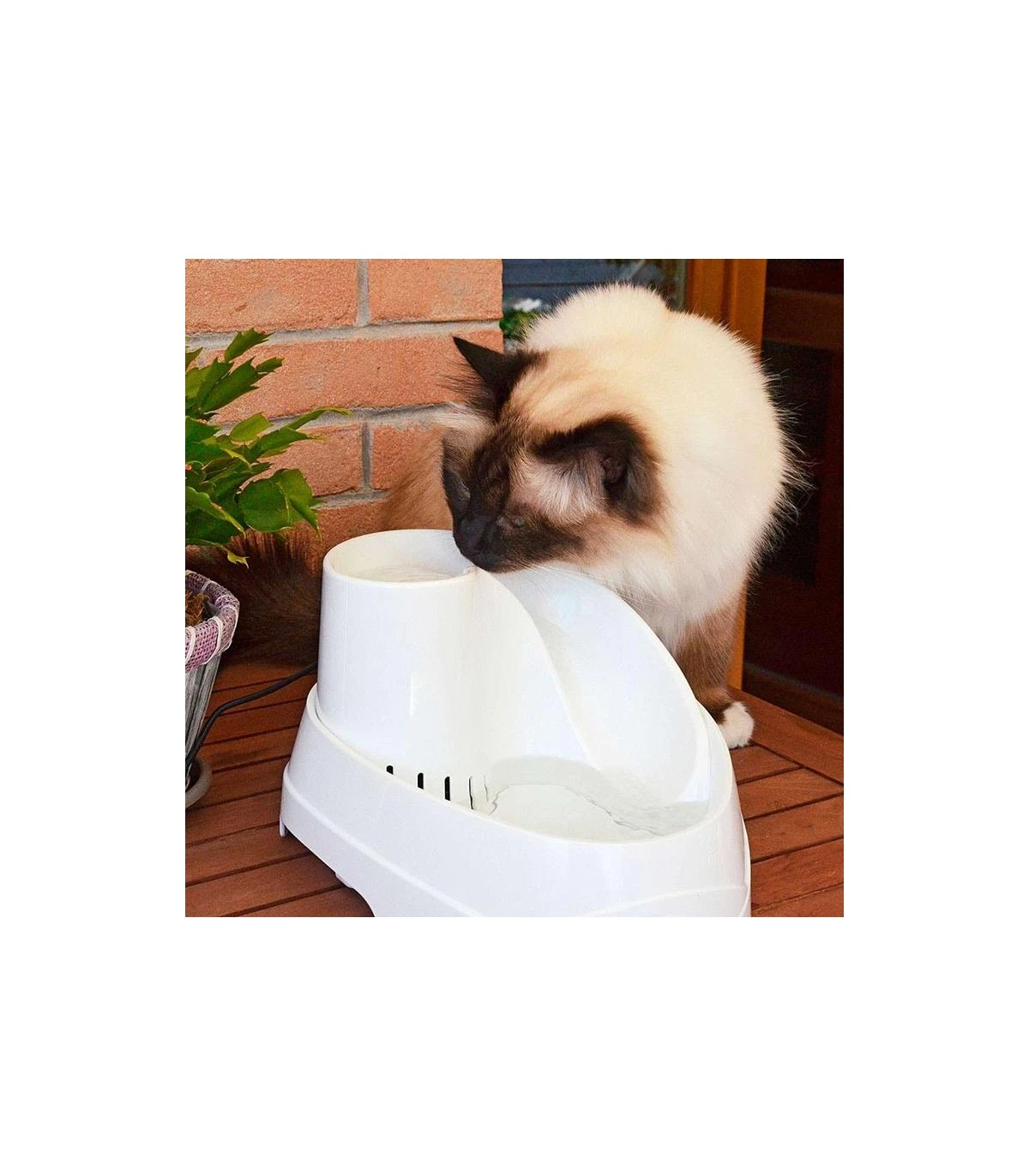 Ferplast Vega Fontanella Per Gatti E Cani 2 Ferplast Vega Fontanella Per Gatti E Cani - immagine 2