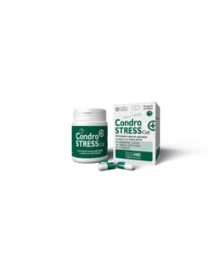 Innovet Condrostress+ Cat 30 Capsule Monodose