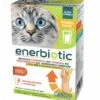 Petformance Enerbiotic Gatto 4 Buste Da 60 Ml