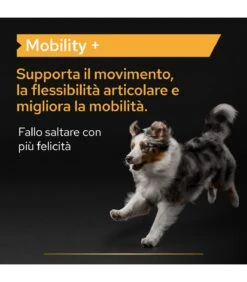 PURINA PRO PLAN Proplan Supplements Mobility + Cane 60 Gr -Vendite Royal Pet Shop proplan supplements mobility cane 60 gr 1