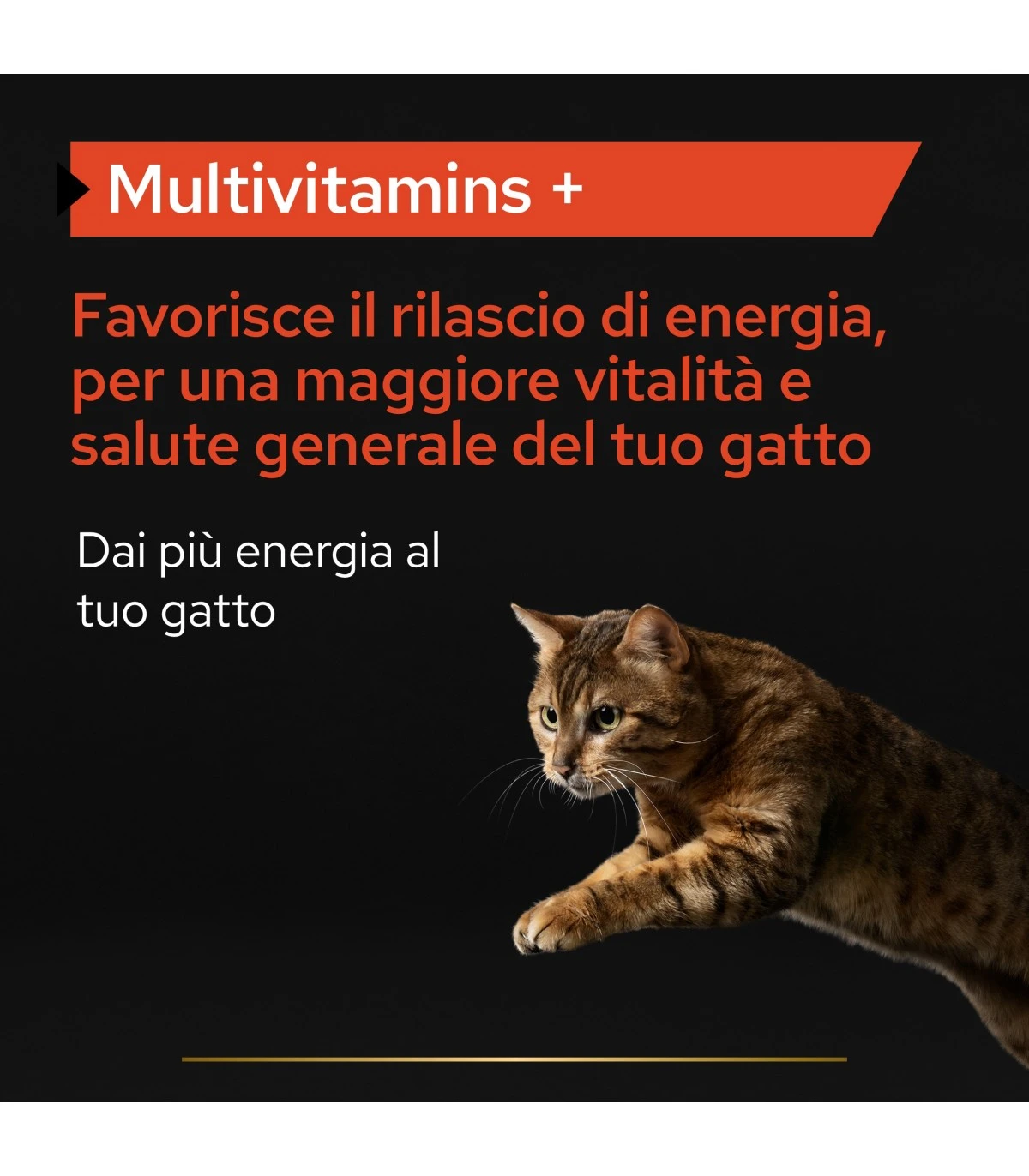 PURINA PRO PLAN Proplan Supplements Multivitamins + Gatto 60 Gr 2 PURINA PRO PLAN Proplan Supplements Multivitamins + Gatto 60 Gr - immagine 2