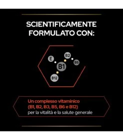 PURINA PRO PLAN Proplan Supplements Multivitamins + Gatto 60 Gr 9 PURINA PRO PLAN Proplan Supplements Multivitamins + Gatto 60 Gr -Vendite Royal Pet Shop proplan supplements multivitamins gatto 60 gr 2