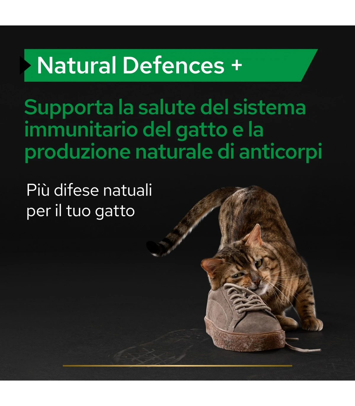 PURINA PRO PLAN Proplan Supplements Natural Defences + Gatto 60 Gr 2 PURINA PRO PLAN Proplan Supplements Natural Defences + Gatto 60 Gr - immagine 2