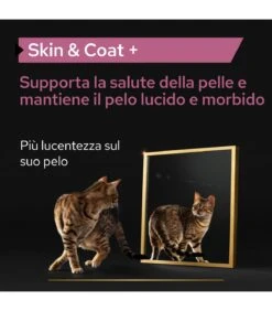 PURINA PRO PLAN Proplan Supplements Skin & Coat Gatto 250 Ml 7 PURINA PRO PLAN Proplan Supplements Skin & Coat Gatto 250 Ml -Vendite Royal Pet Shop proplan supplements skin coat gatto 250 ml 1