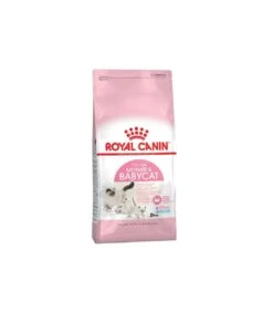 Royal Canin Gatto Mother And Babycat 2 Kg