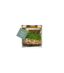 Terra Canis Pasta Articolazione 250 Ml -Vendite Royal Pet Shop terra canis pasta articolazione 250 ml 1